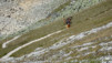 meidpass_16_009