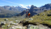 meidpass_16_026