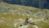 meidpass_16_027