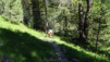 meidpass_16_041