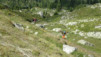 meidpass_19_003