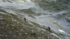 meidpass_19_012