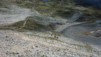 meidpass_19_016