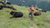 meidpass_19_023