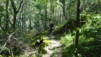 meidpass_19_027