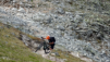 meidpass_21_013