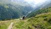 meidpass_21_032