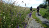 merdenson_18_001