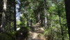 merdenson_18_008