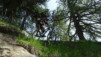 merdenson_18_011