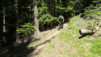 merdenson_18_014