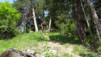 merdenson_18_015