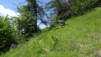 merdenson_18_017