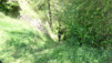 merdenson_18_019