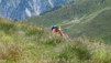 mille_14_025