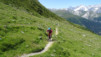 mille_15_012