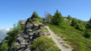 mille_15_043