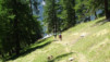 mille_15_045