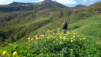 mille_2021_1_002