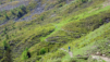 mille_2021_1_003