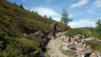 mille_2021_1_009