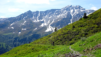 mille_2021_1_010