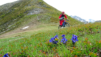 mille_2021_1_026