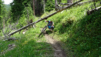 mille_2021_1_033