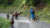 mille_eperviers_001