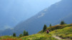 mille_eperviers_006