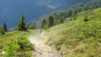 mille_eperviers_007