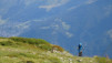 mille_eperviers_010