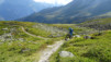 mille_eperviers_013
