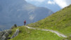 mille_eperviers_018