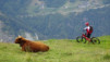 mille_eperviers_024