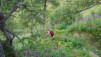 mille_eperviers_027