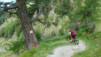 mille_eperviers_030