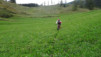 mille_eperviers_031