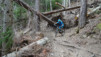 mille_eperviers_041