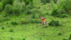 moay_014