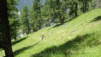 moay_duay_17_020