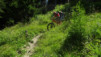 moay_duay_17_026