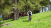 mont-chemin_16_009