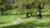 mont-chemin_16_010