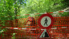 mont-chemin_16_018