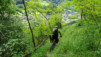 mont-chemin_16_019