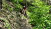 mont-chemin_16_021