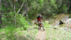 mont-chemin_16_022
