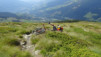 mont-saron_022