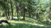 mont-saron_030
